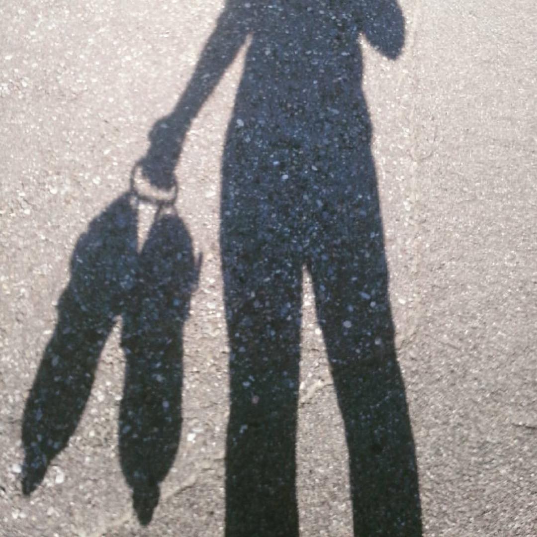 Skate Carry small red