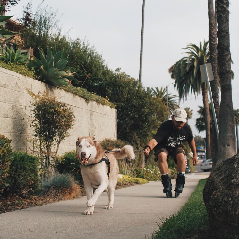 909 80s 4x80mm Soulframe black