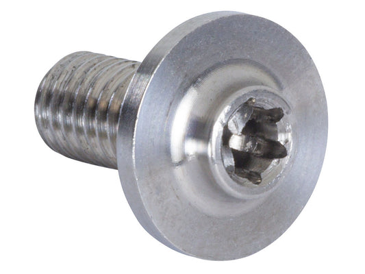 Titanium Frame Mounting Bolt Torx M6 L12mm 2-pack