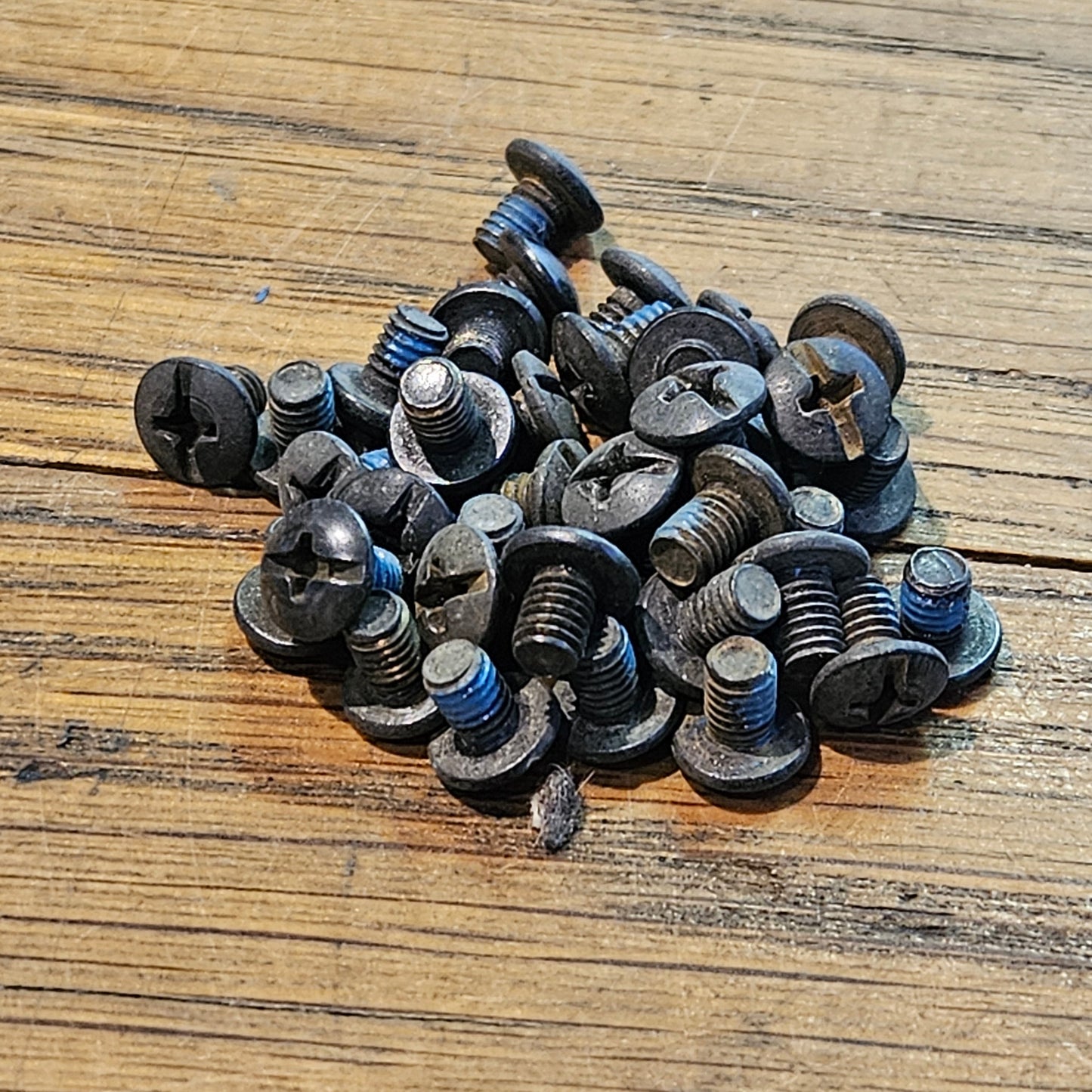 SBM Buckle Mounting Bolt Philips M4 L5mm pcs