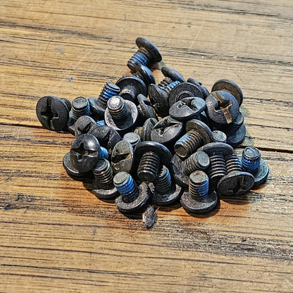 SBM Buckle Mounting Bolt Philips M4 L5mm pcs