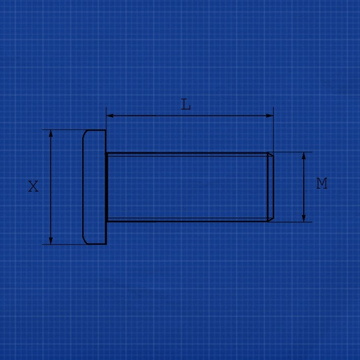 Frame Mounting Bolt Torx M6 L10mm pcs
