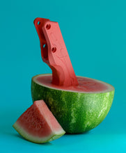 Load image into Gallery viewer, UFS Chassis watermelon
